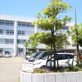 小針小学校（現地より300m、徒歩約4分）