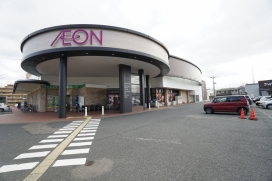 イオン笹口店（現地より約590m、徒歩約8分）